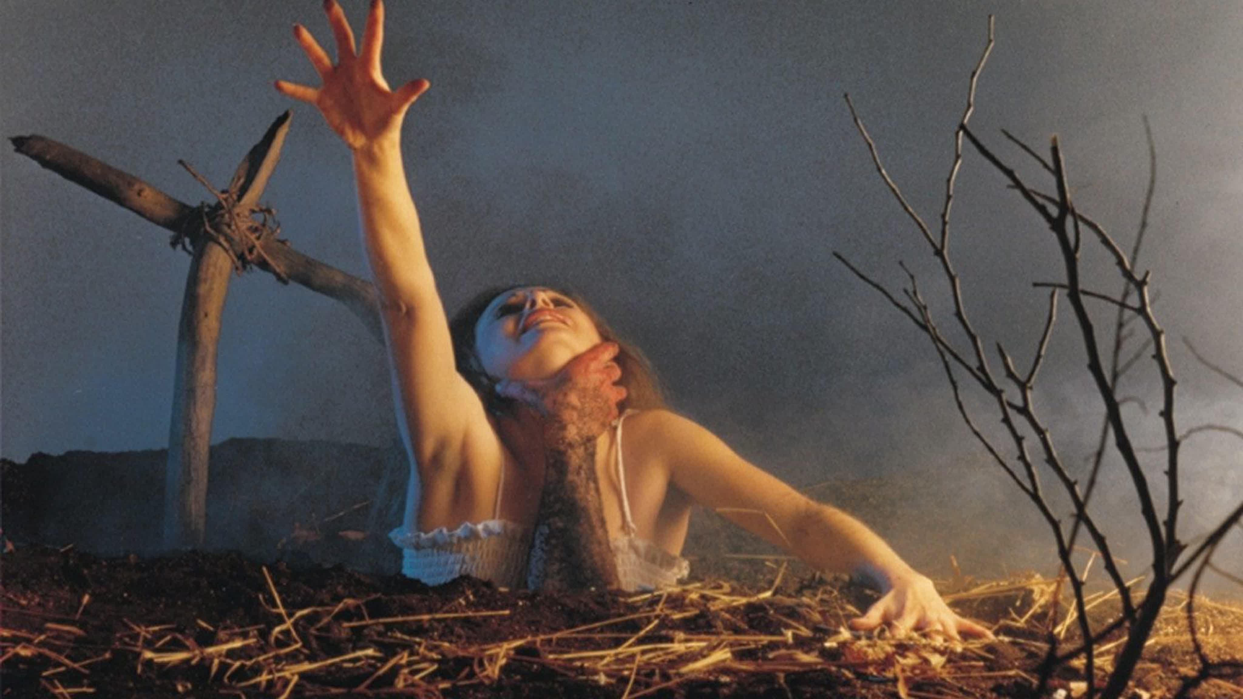 «Evil Dead Rise» — вы заметили, что новые имена персонажей отдают дань уважения звездам прошлых франшиз?